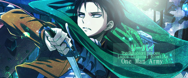 Levi Heichou Sign'