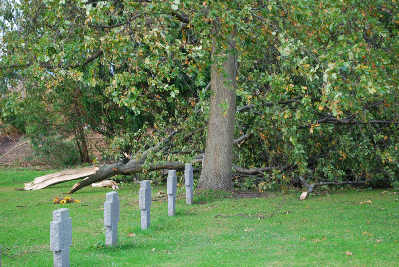 FDRT + Storm Aftermath 49 by PhotoLifestyle2020 on DeviantArt