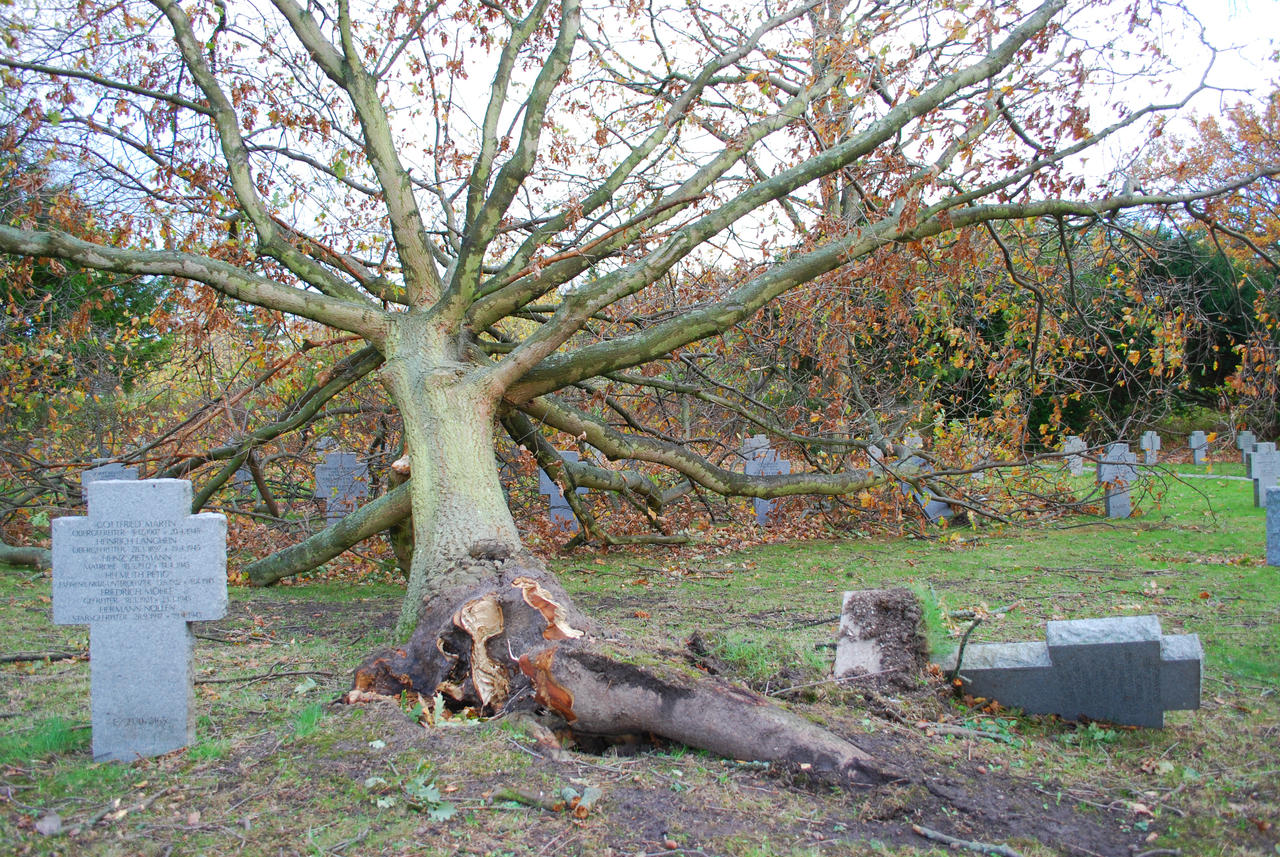 FDRT + Storm Aftermath 50 by PhotoLifestyle2020 on DeviantArt