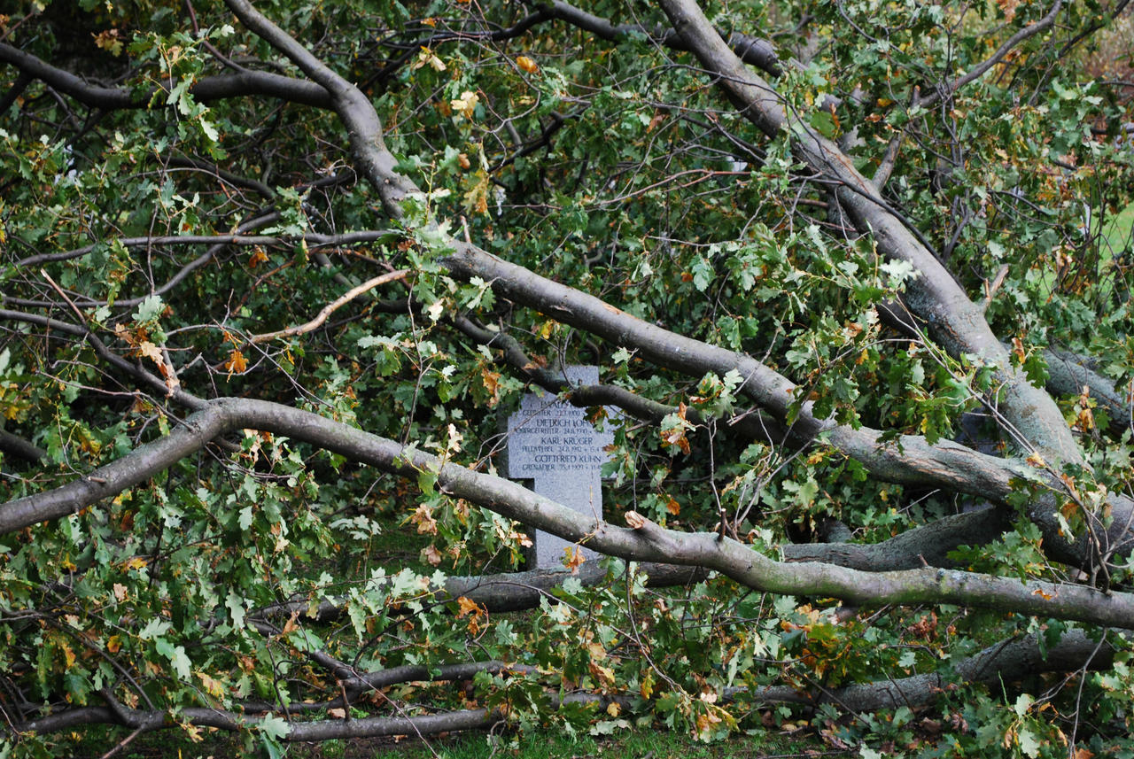 FDRT + Storm Aftermath 57 by PhotoLifestyle2020 on DeviantArt