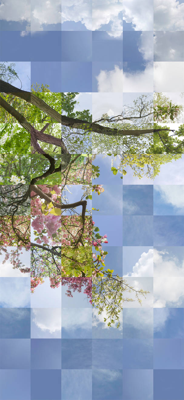 Color Perspective Images Perspective_color in full view by Tangkat on DeviantArt