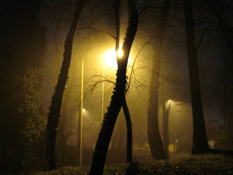 foggy night