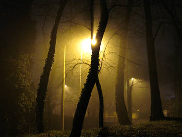 foggy night