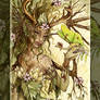 Dogwood Dryad