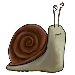 A snail