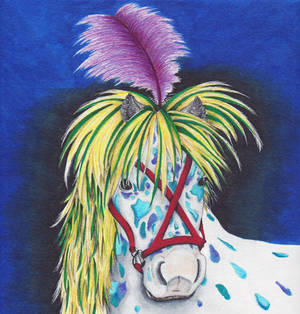 The Circus Pony