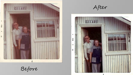 Photo Restoration 1