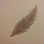 Feather 1