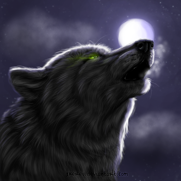 Night Howl
