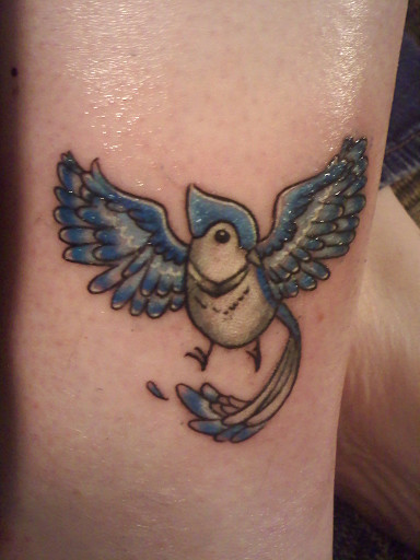 Blue Jay Tattoo Finished 3 By Mandypandaa On Deviantart Blue Jay Tattoo Finished 3 By Mandypandaa On Deviantart