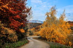 Autumn colors (1)