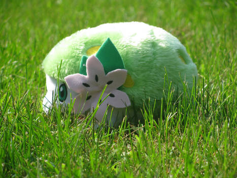 Wild Shaymin