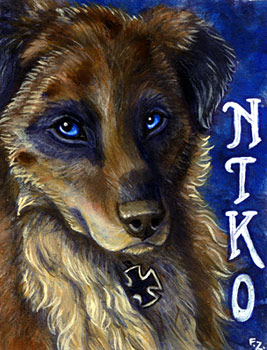 Niko Conbadge