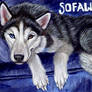 Sofawolf Conbadge