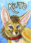 Keito Fennec by Foxfeather248