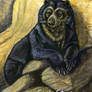 Spectacled Bear Mountain Watch