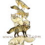 Fox Stack