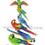 Macaw Stack