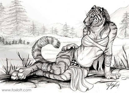 Tiger Sketchbook Cover by hibbary on DeviantArt