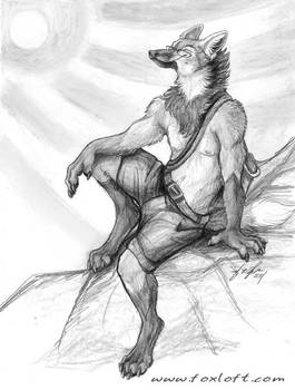 Sunwolf