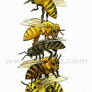 Honey Bee Stack