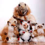 Family Portrait