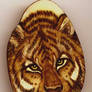 Tiger Tagua