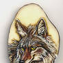 Detailed Coyote on Tagua