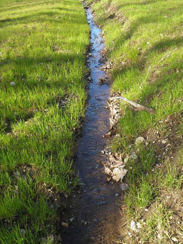 Small Stream Too The smallest stream. by d0d089 on DeviantArt