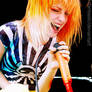 Hayley Willams