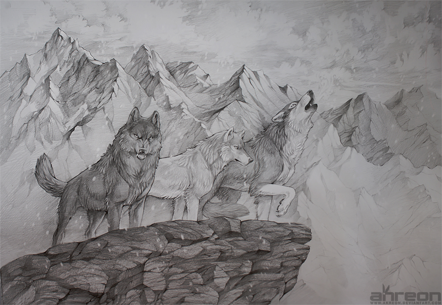 Wolf Pack Drawings In Pencil