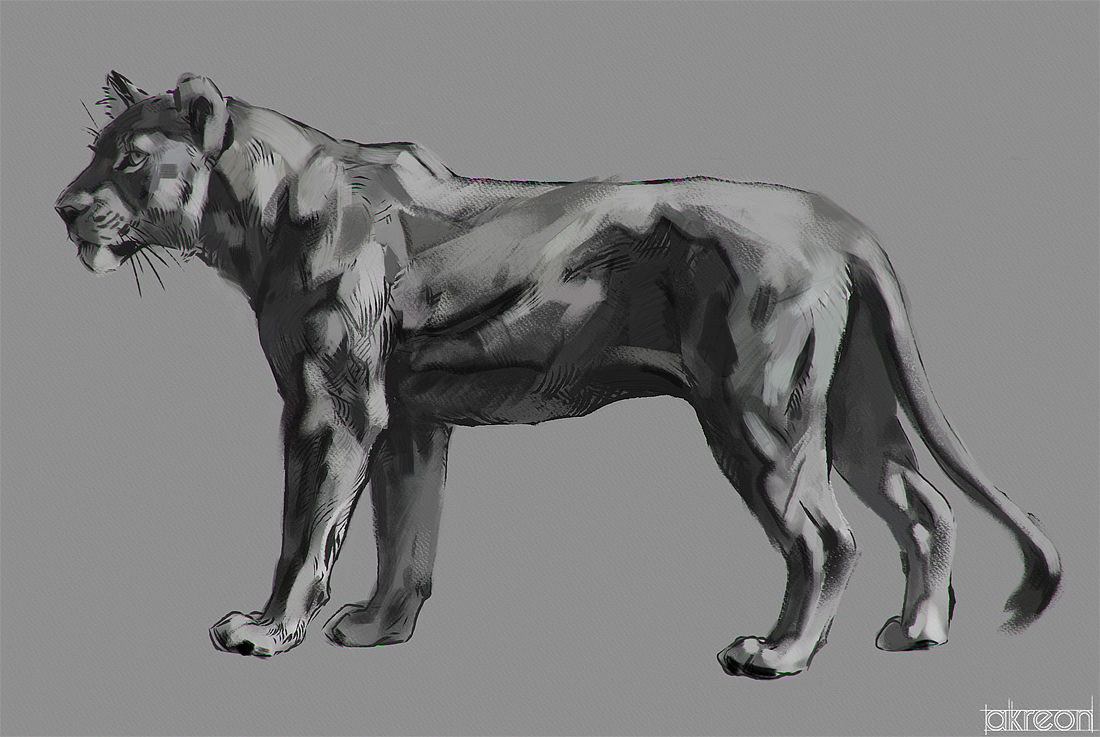 lioness study by akreon