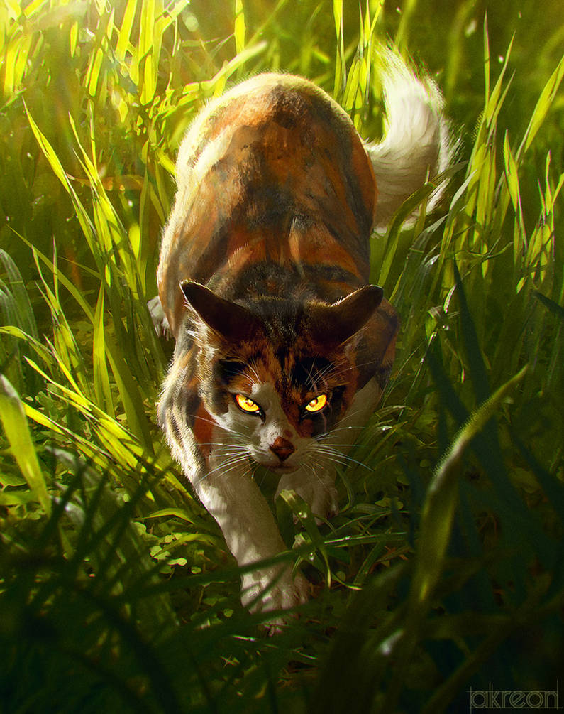 Tigerwisp - Warrior Cats Fanart/Fiction by AthenaRyssa on DeviantArt