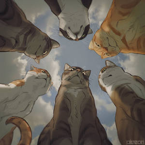 Cat Council