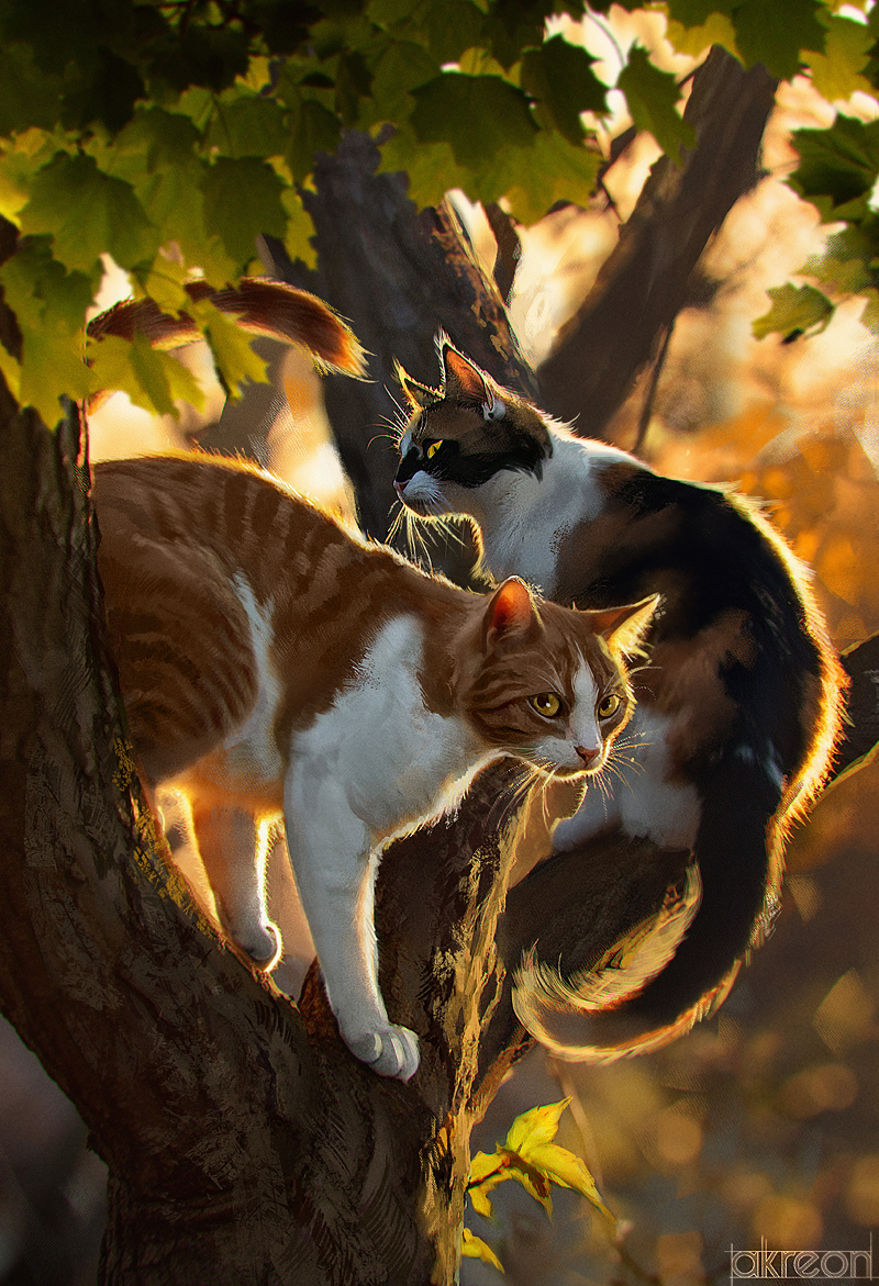 SkyClan and the Stranger by Anna Podedworna (akreon) : r/ImaginaryAnimals