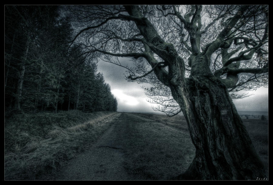 Dead zone by zardo