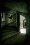 Shadows song by zardo