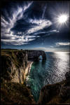 Free as a bird by zardo