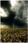 Alone against the storm by zardo