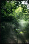 Road of mystery by zardo