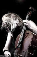 Apocalyptica at Hellfest IV