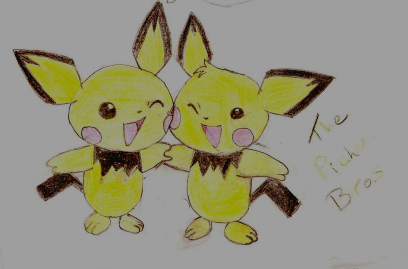 The Pichu Bros