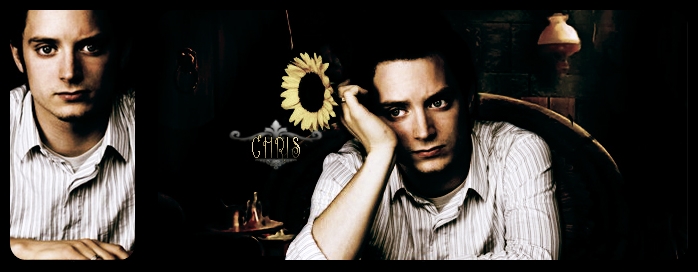 Elijah Wood RPG