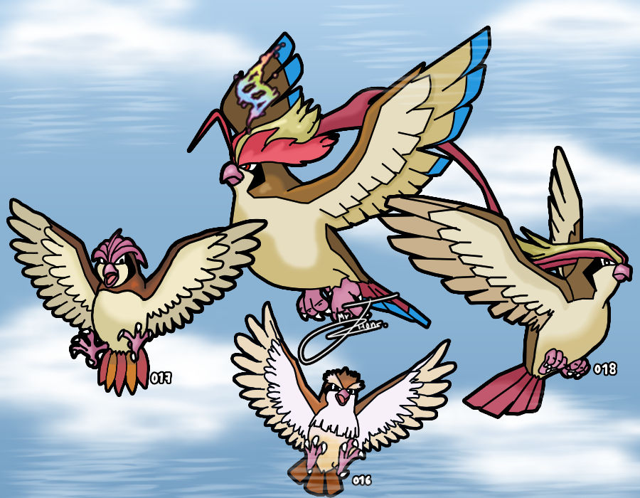 Pidgey Evolution Chart Pidgey Line Evolution by MrJhons900 on DeviantArt