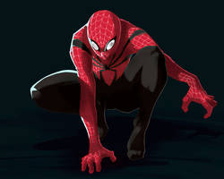 Spiderman - Redesign