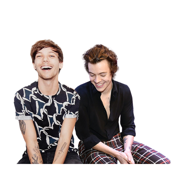 Harry styles and louis tomlinson, 3D 