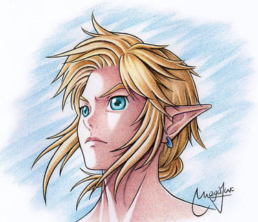 BotW Link