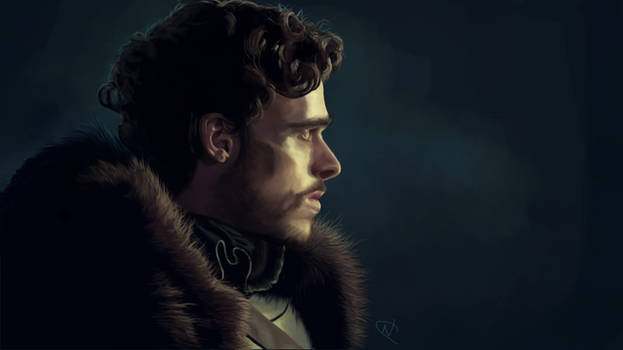 Robb Stark