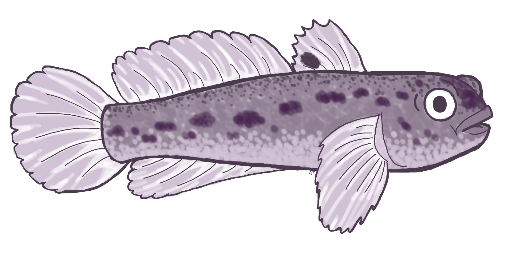 Round Goby by Meowthiroth on DeviantArt