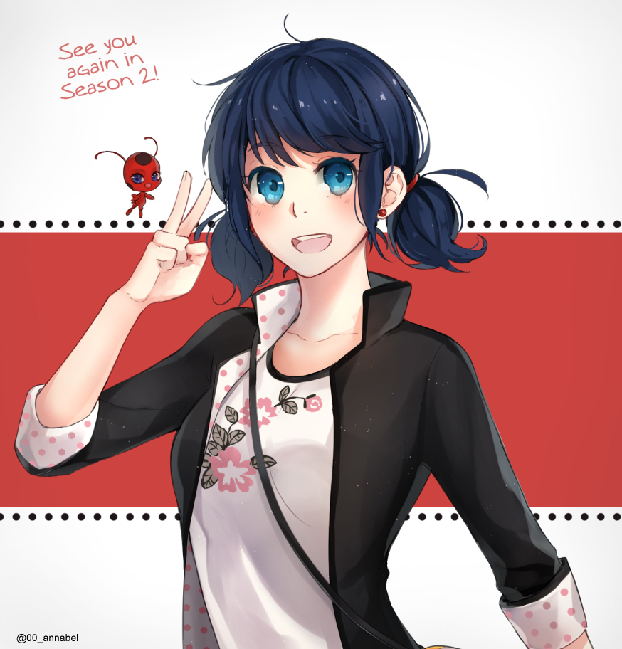 Marinette ❤️  Miraculous ladybug anime, Miraculous ladybug